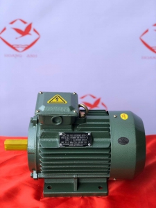 Mơ tơ điện 3 pha Hoàng Anh công suất 3 kw
