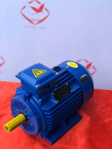 Mơ tơ điện 3 pha Hoàng Anh công suất 2 kw